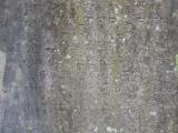 image of grave number 365937